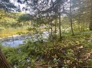 Old Highway 64, Pound, WI 54161