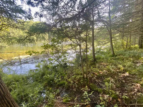 Old Highway 64, Pound, WI 54161