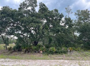 Granada Dr LOT 2, Indian Lake Estates, FL 33855