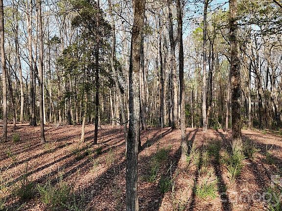 3rd image of 1099 Twin Lakes Rd