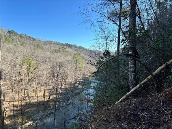 436 Meadow Ln #1743, Talking Rock, GA 30175