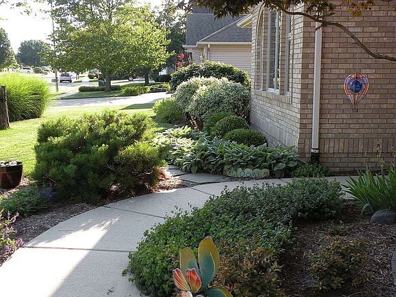 professional landscaping