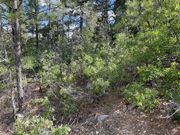 50 Chaucer Way #14, Timberon, NM 88350