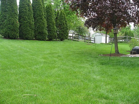 Rear yard