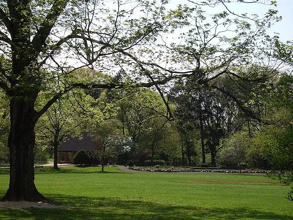 Plainfield Village — Photo 7