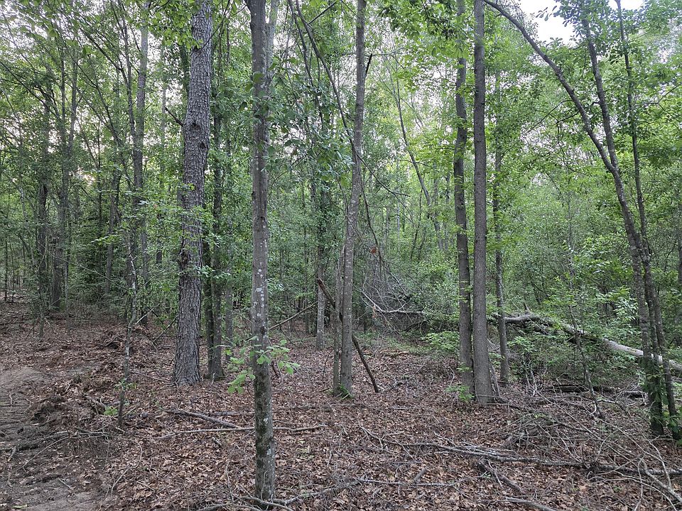 1st image of Bradleyville Rd