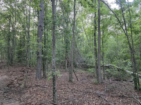 Bradleyville Rd, North Augusta, SC 29841