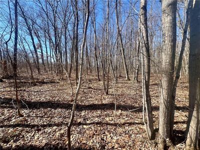 0 Jos R Chafer Road, Couderay, WI, 54828
