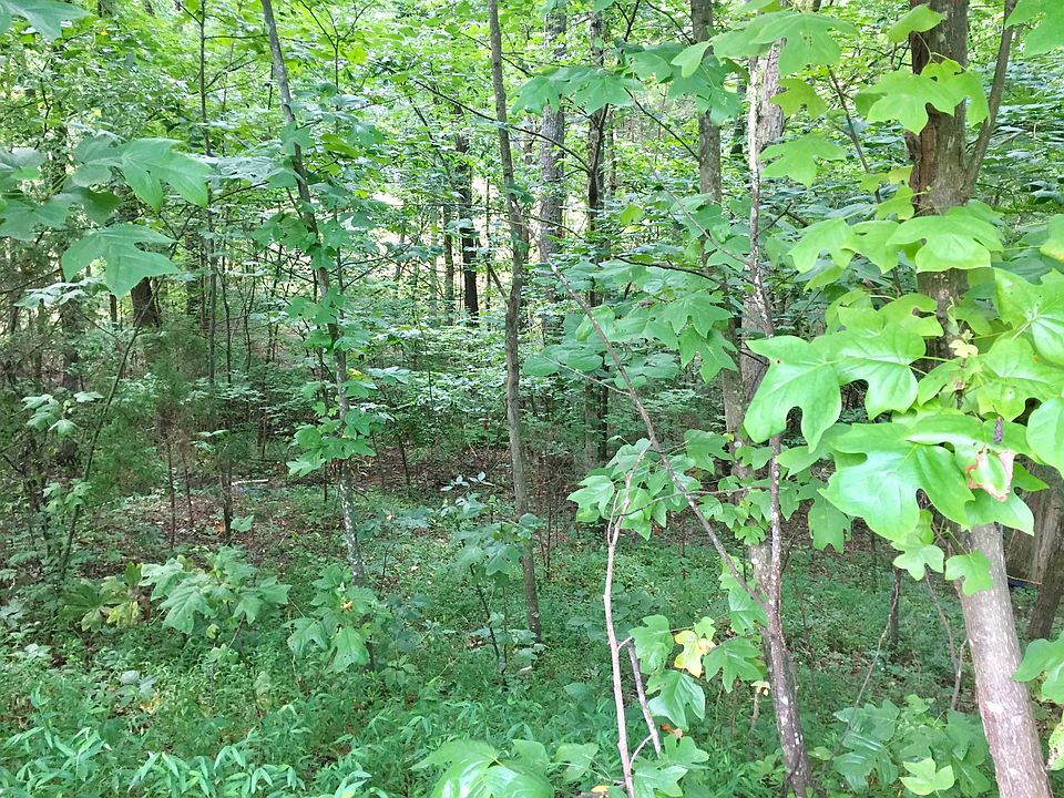 2nd image of Witt Ct