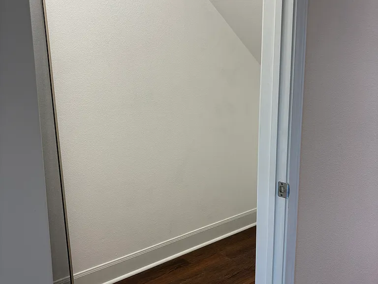 Extra walk-in closet in the hall.