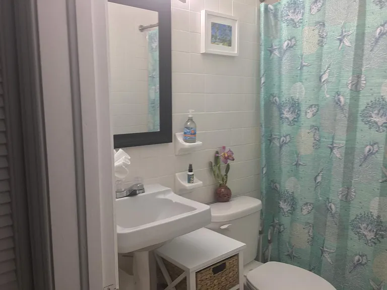 Hall bathroom