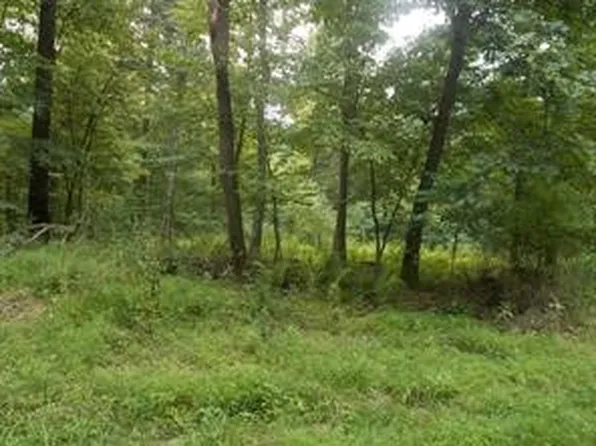 Lots 1&2 Bradys Lndg, Karns City, PA 16041