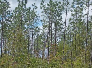 0 Sand Basin Rd, Grand Ridge, FL 32442