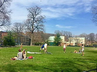 Rented by Manhattan Management LLC