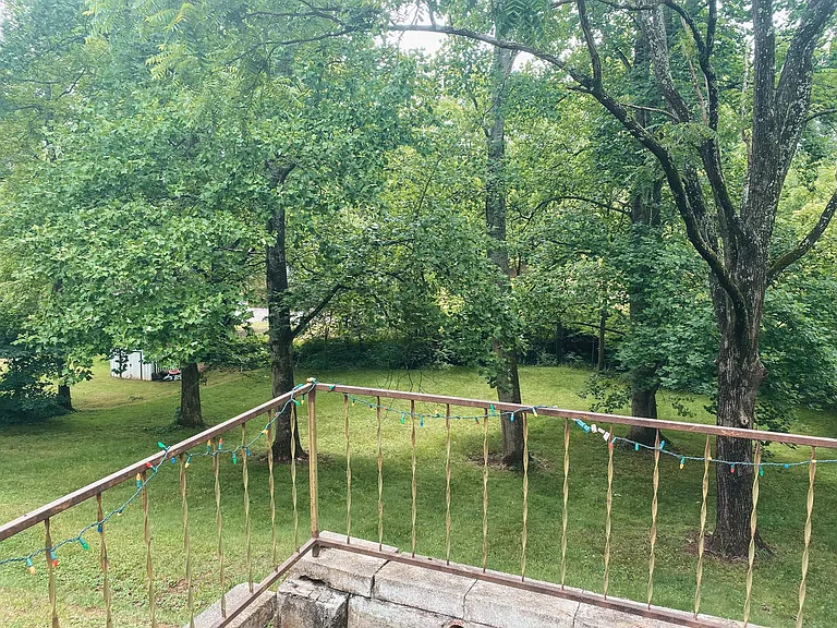 372 Old Haw Creek Rd — Photo 13
