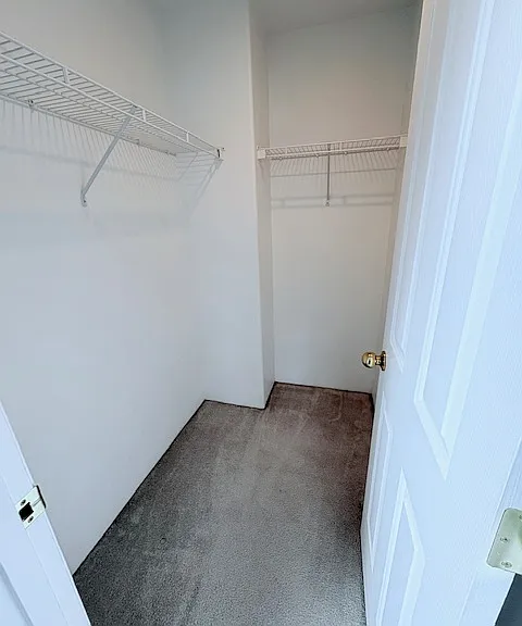 3968 Arrowhead Dr — Photo 9