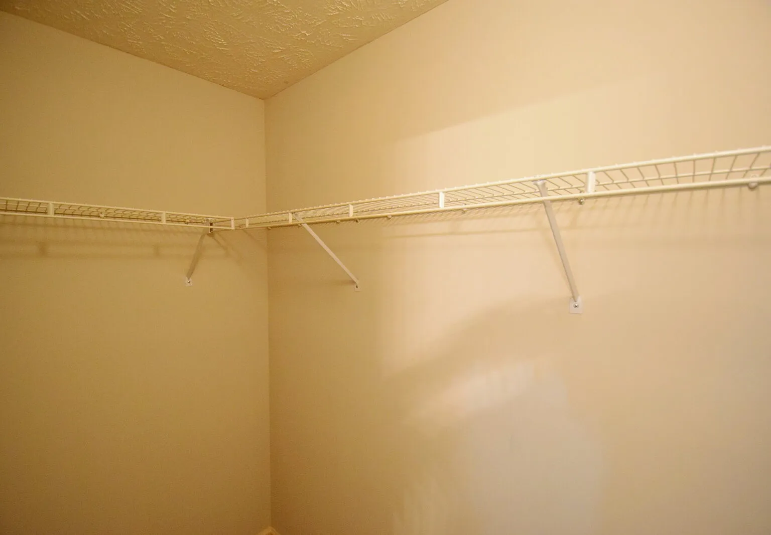 3 bed, 2.0 bath, 1311 sqft, $1,250 — Photo 3