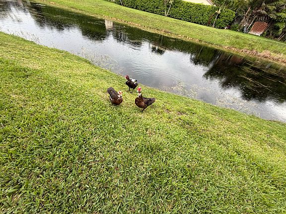 4th image of 10730 ROYAL PALM Boulevard #4-3