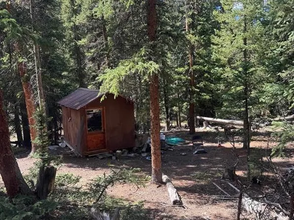 TBD Evenden, Almont, CO 81210