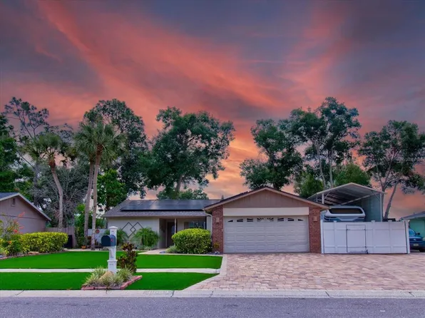 6533 Spanish Moss Cir, Tampa, FL 33625