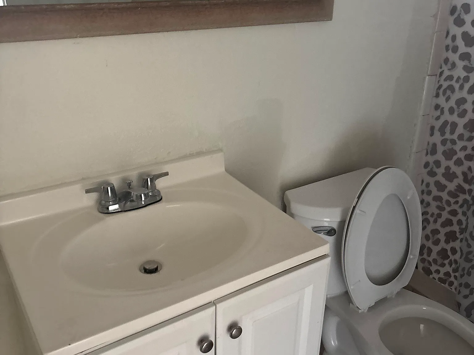 Studio, $1,000 — Photo 4