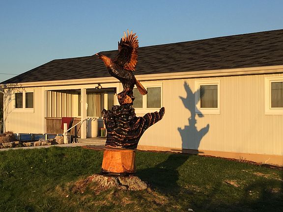 Tree cut down/now art