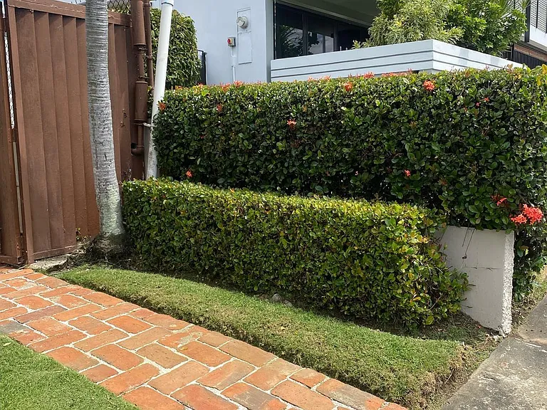 1771 Siervas De Maraa — Photo 17