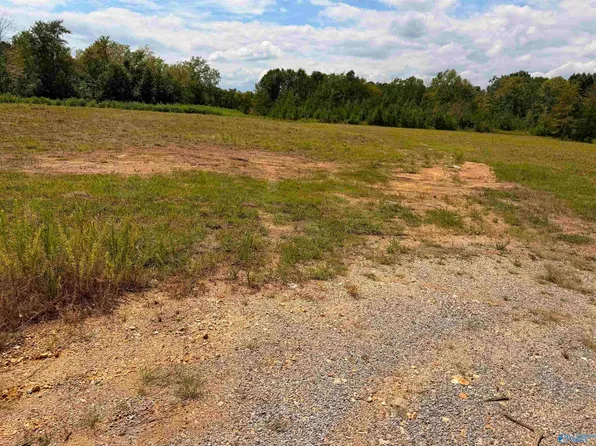 LOT 16 County Road 39, Piedmont, AL 36272