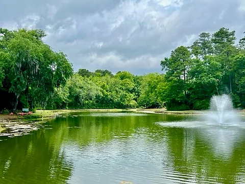 On of many neighborhood ponds.