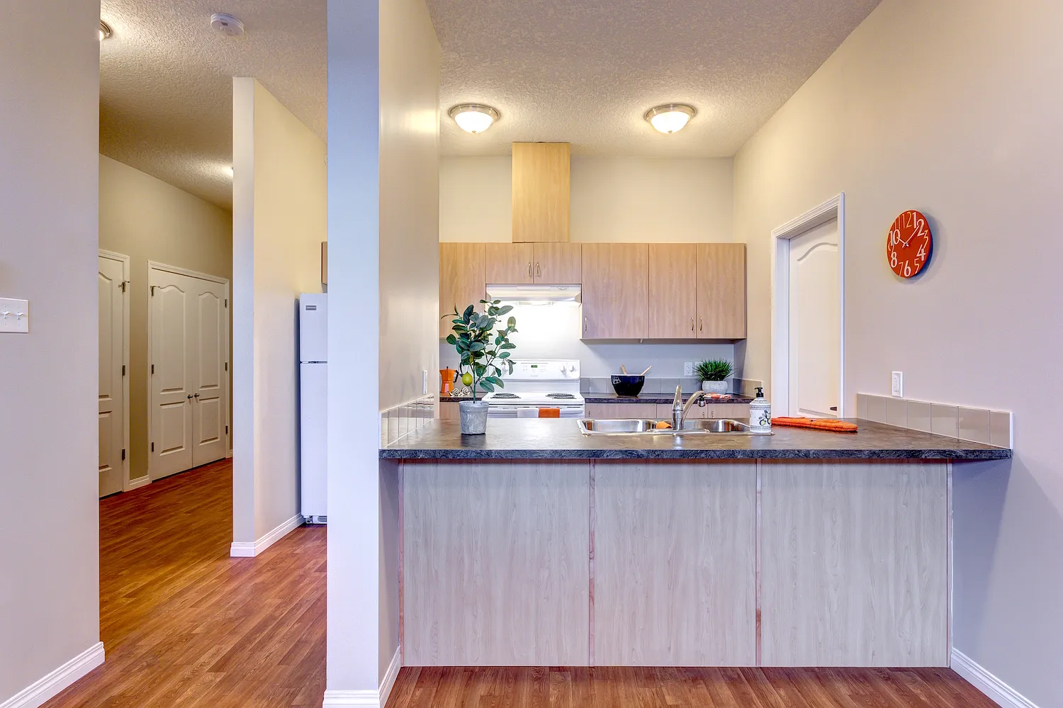 Big Lake Pointe 12 Affordable — Photo 1