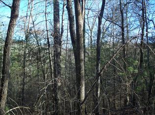 Cavender Gap Rd, Suches, GA 30572