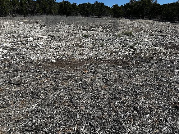 5th image of 570 Ranch Rim Dr W