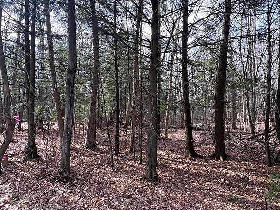 2nd image of 5 Commons Rd