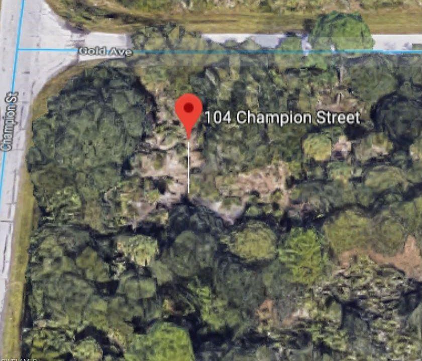 1st image of 104 Champion St