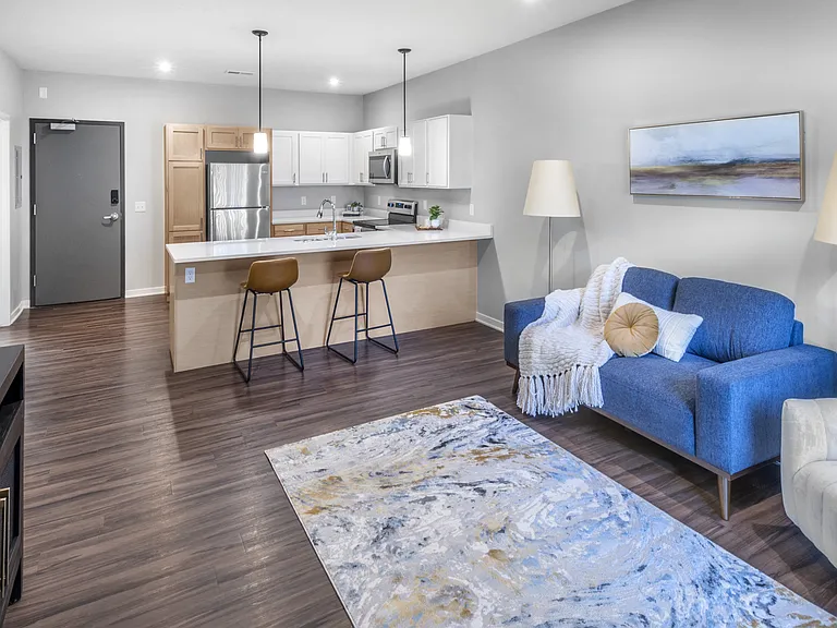 Living Room and Kitchen 1 Bedroom Apartment