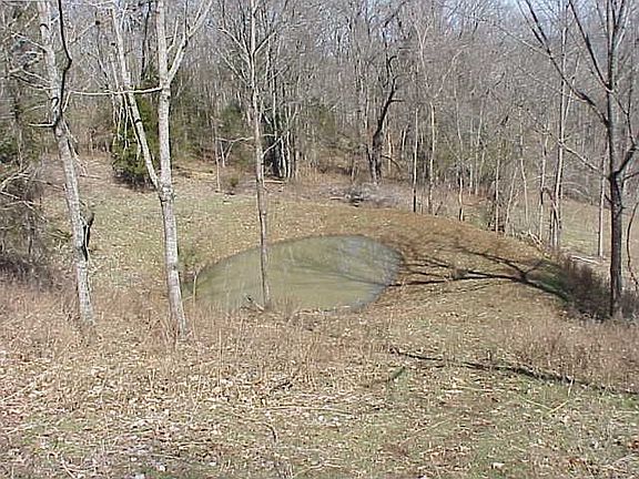pond in back of property
