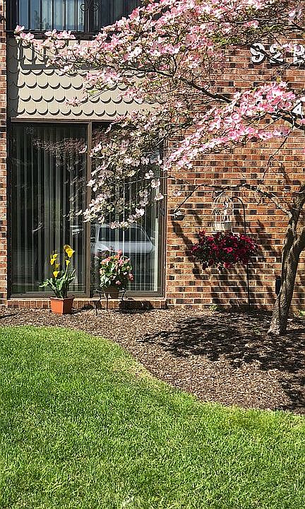 2nd image of 91 Red Cedar Ct