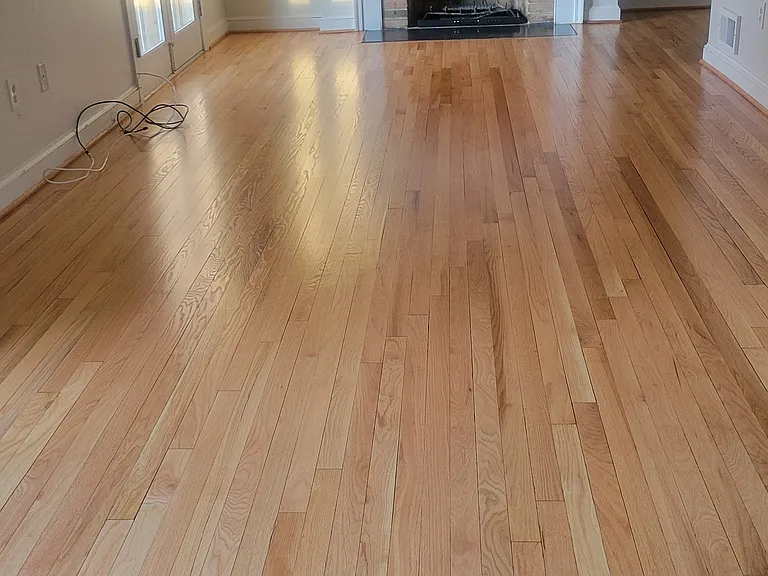 216 E Marshall St — Photo 15