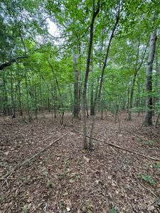 4705 Warlick Chapel Rd, Connelly Springs, NC, 28612