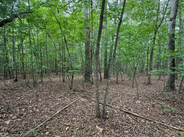 4705 Warlick Chapel Rd, Connelly Springs, NC 28612