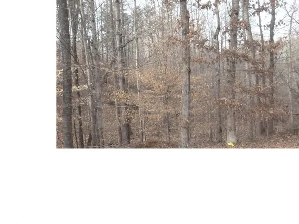 0 Mountain View Dr Lot 46, Pelham, NC 27311