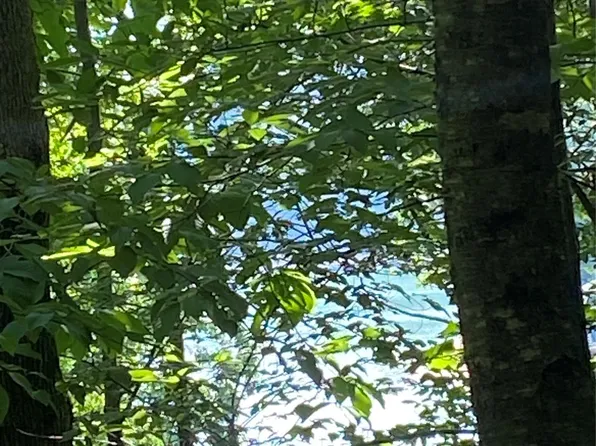 0 Falcons Ave #12, Lake Lure, NC 28746