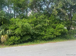 11 Jamaica St, Homosassa, FL 34446