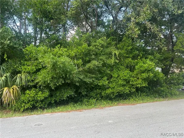 11 Jamaica St, Homosassa, FL 34446