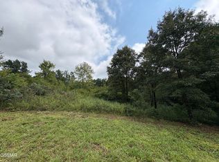 4 Midway Rd, Strawberry Plains, TN 37871