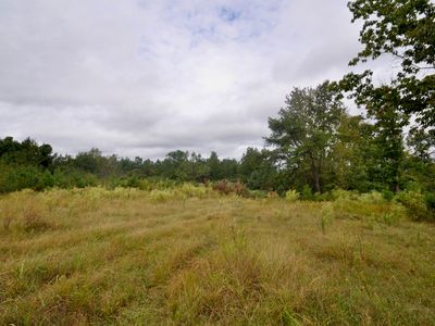 0 County Road 1101, Vinemont, AL, 35179