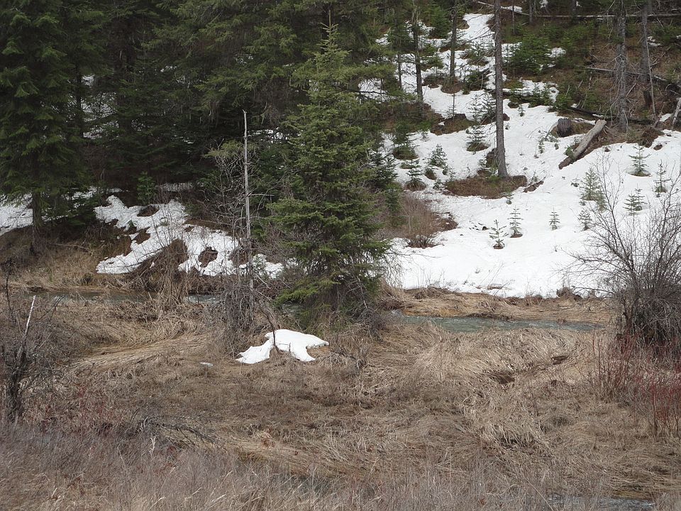 2nd image of Flat Creek Road