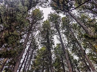 LOT 3190 Zipf Ln, Fort Garland, CO 81133