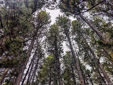 Lot 3190 Zipf Lane, Fort Garland, CO, 81133