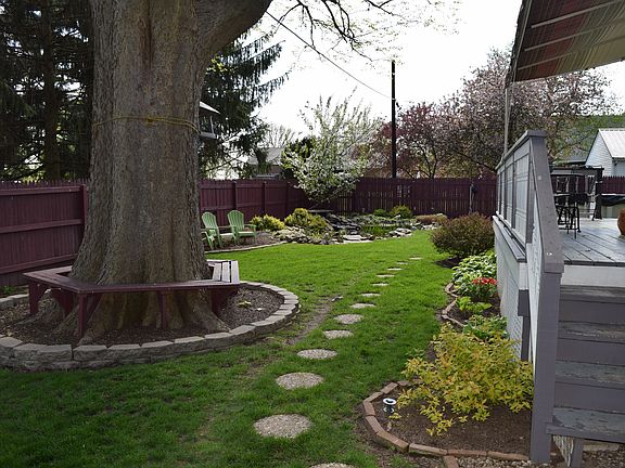 Back yard
